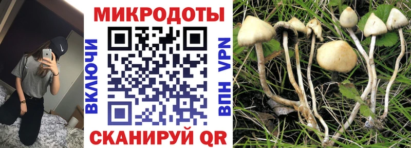 Галлюциногенные грибы Magic Shrooms  сколько стоит  Малмыж 