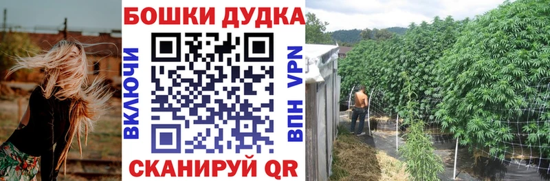 Конопля гибрид  Малмыж 